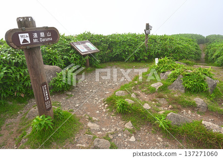 Summer on the Izu Mountain Ridge Trail in the Izu Peninsula: The summit of Mt. Daruma in the mountain mist 137271060