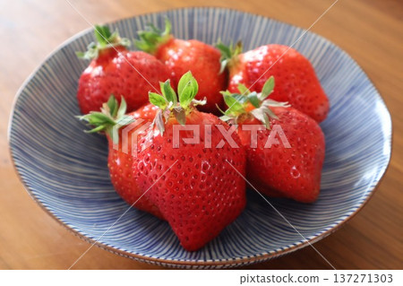 草莓:博多甘王 草莓:博多甘王 137271303