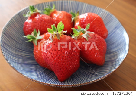草莓:博多甘王 草莓:博多甘王 137271304