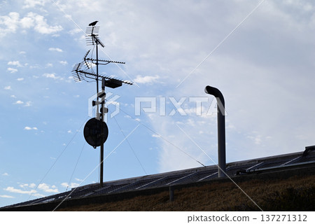 一根超高頻天線上棲息著一隻鳥，天空晴朗無雲。 137271312