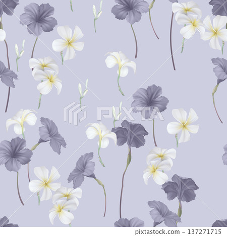 Floral seamless pattern, ruellia tuberosa and plumeria on purple Floral seamless pattern, ruellia tuberosa and plumeria on purple 137271715