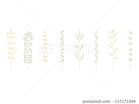 手繪線條插畫集 1(黃色和綠色),靈感來自豆類和酢漿草等植物。 手繪線條插畫集 1(黃色和綠色),靈感來自豆類和酢漿草等植物。 137271894