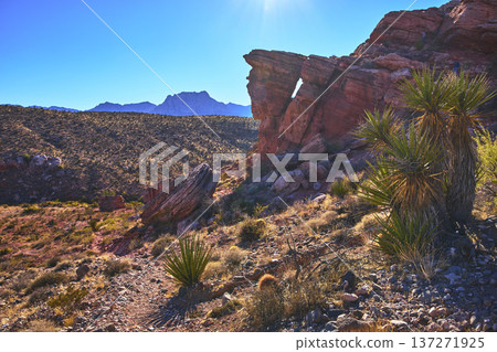Red Rock Canyon Guardian Angel Rock Formation and Joshua Tree in Sunlit Nevada Desert 137271925