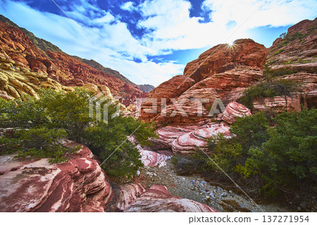 Sunburst Over Red Rock Canyon Vibrant Sandstone Formations and Desert Vegetation 137271954