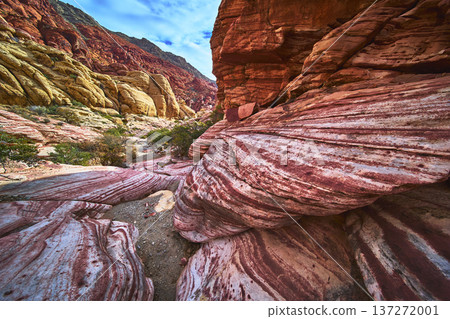Red Rock Canyon Layered Sandstone Formations and Desert Vegetation Nevada Red Rock Canyon Layered Sandstone Formations and Desert Vegetation Nevada 137272001
