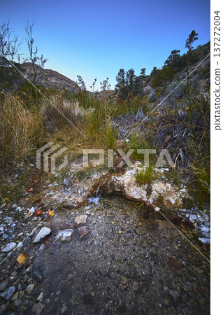 Clear Spring Water Source with Wild Grasses and Rocky Canyon Landscape Clear Spring Water Source with Wild Grasses and Rocky Canyon Landscape 137272004