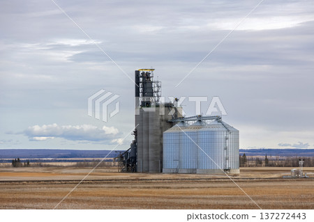 Grain elevator in spring field under clouds in silent prairies. 137272443