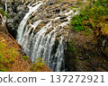 Streams of the rocky waterfall in the river canyon in the forest. 137272921