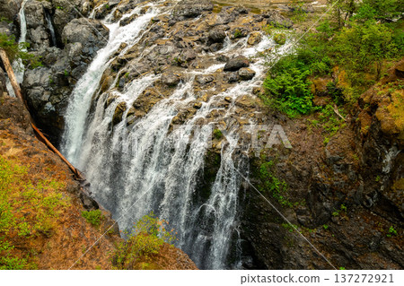 Streams of the rocky waterfall in the river canyon in the forest. 137272921