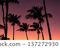 Bright orange and pink sky and the silhouettes of palm trees. 137272930