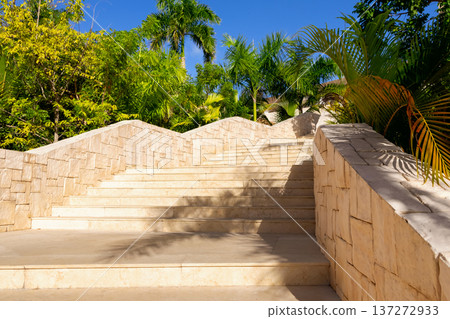 Design of rocky stairs surrounded with palms in a tropical resort. 137272933