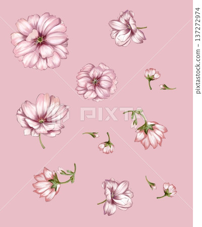 Delicate Pastel Floral Watercolor Wallpaper Designs With Soft Romantic Blooms And Gentle Botanical Patterns 137272974