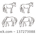 Horse Coloring Set 137273088