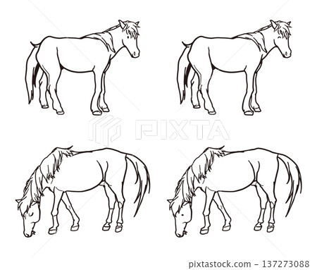 Horse Coloring Set 137273088