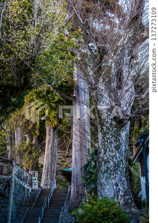 Shuzenji Hie Shrine (Izu City, Shizuoka Prefecture) 137273109