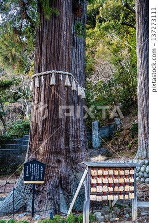 修善寺日枝神社(靜岡縣伊豆市) 修善寺日枝神社(靜岡縣伊豆市) 137273111