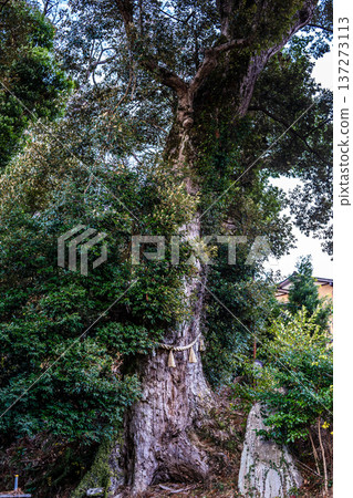 Shuzenji Hie Shrine (Izu City, Shizuoka Prefecture) 137273113