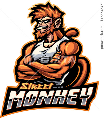 Street monkey esport mascot logo design Street monkey esport mascot logo design 137273237