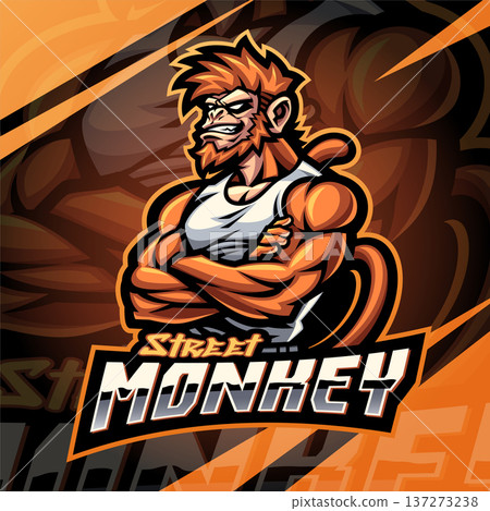 Street monkey esport mascot logo design 137273238