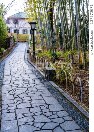 修善寺竹林步道（靜岡縣伊豆市） 137273671