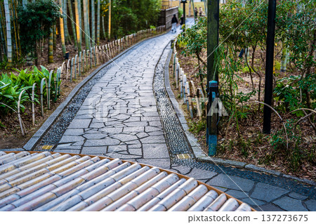 修善寺竹林步道（靜岡縣伊豆市） 137273675
