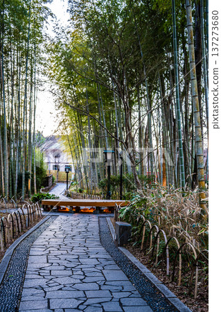 修善寺竹林步道（靜岡縣伊豆市） 137273680