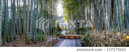 修善寺竹林步道全景 [靜岡縣伊豆市] 137273682