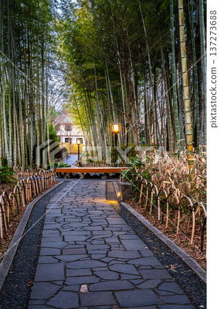 修善寺竹林步道（靜岡縣伊豆市） 137273688