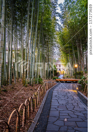 修善寺竹林步道（靜岡縣伊豆市） 137273689