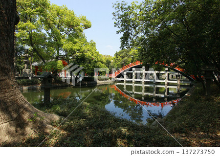 大阪,Sumiyoshi Taisha,Torihashi(太鼓橋) 大阪,Sumiyoshi Taisha,Torihashi(太鼓橋) 137273750