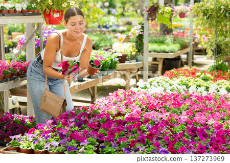 woman visitor of flower boutique examines flowers of petunia woman visitor of flower boutique examines flowers of petunia 137273969