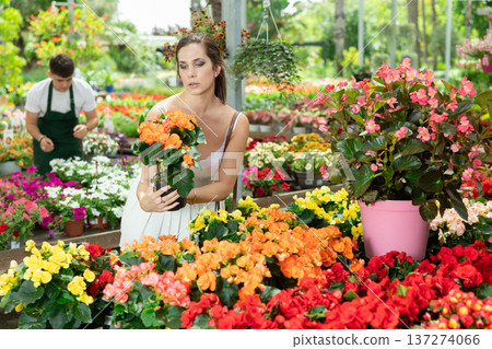 Young woman examining potted begonia x hiemalis in garden store 137274066