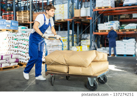 Young guy rolls cart with bags in warehouse Young guy rolls cart with bags in warehouse 137274251