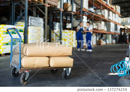 Trolley loaded with bags on background of warehouse 137274259