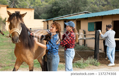 Two female workers in plaid shirt combs tethered horse in stable. Two female workers in plaid shirt combs tethered horse in stable. 137274308