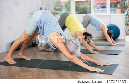 Group of elderly woman doing yoga on mat in studio Group of elderly woman doing yoga on mat in studio 137274385