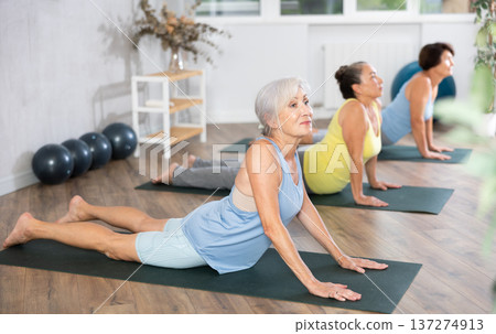 Group of elderly woman doing yoga on mat in studio 137274913