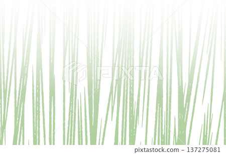Refreshing fresh green vertical line abstract texture Refreshing fresh green vertical line abstract texture 137275081