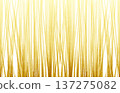Golden glitter vertical lines abstract texture 137275082