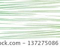 Fresh green horizontal line abstract texture 137275086
