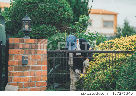 pruning, gents, male 137275349