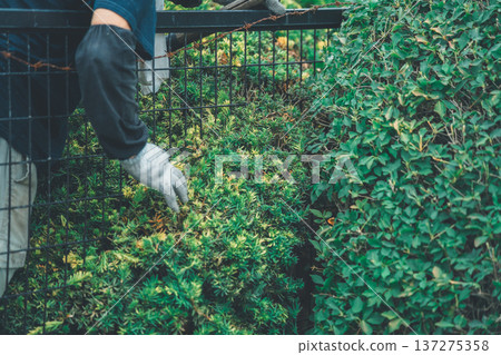 修剪 男人 男 137275358