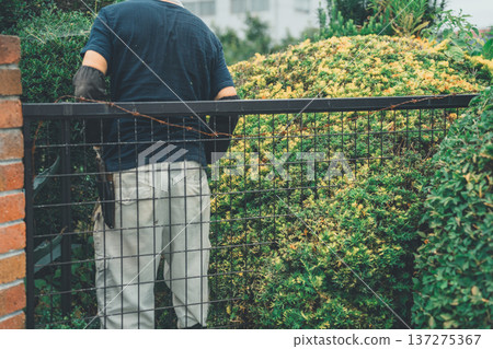 修剪 男人 男 137275367