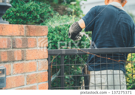 pruning, gents, male 137275371