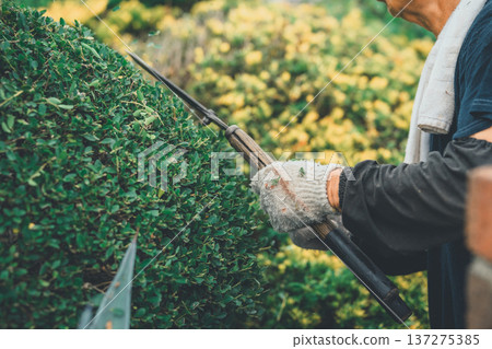 修剪 男人 男 137275385