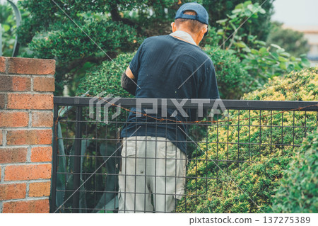 pruning, gents, male 137275389
