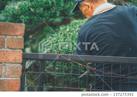 pruning, gents, male 137275391