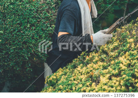 修剪 男人 男 137275396