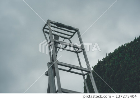 pruning, garden, sky 137275404