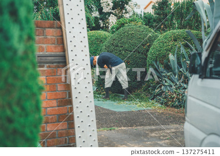 pruning, male, males 137275411